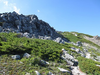 分岐へ