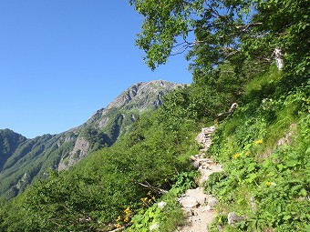 北岳見つつ