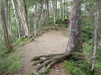 野呂川越