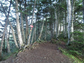 野呂川越