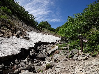 藪沢新道分岐の水場