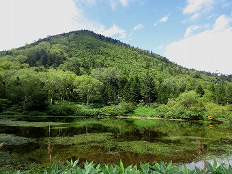 峰ノ大池