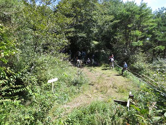 大権首峠