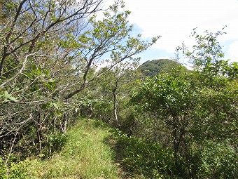 石割山と山中湖