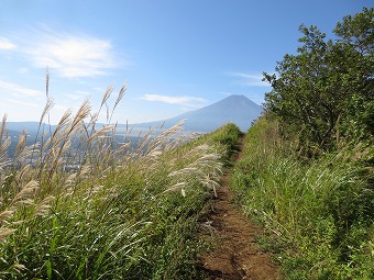 富士山