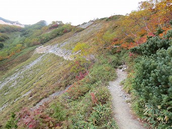 紅葉の八方尾根