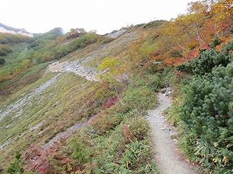 紅葉の八方尾根