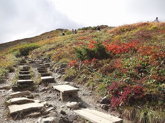 八方尾根へ