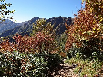 紅葉の道