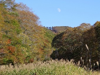 戸隠スキー場と月