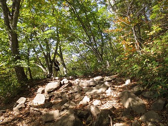 駒つなぎの場