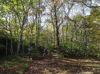 戸隠山登山口