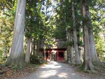 戸隠神社　奥社表参道