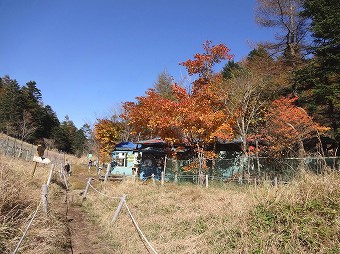 丸川荘
