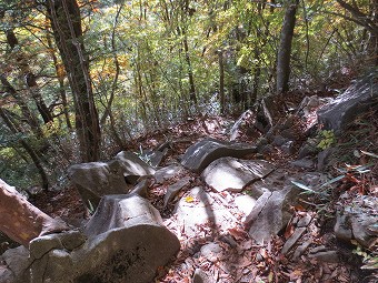 丸川峠から急下り