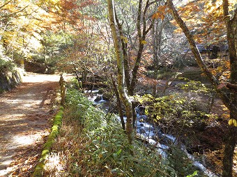 勝縁荘前の沢