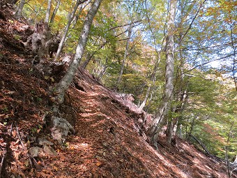 野陣尾根