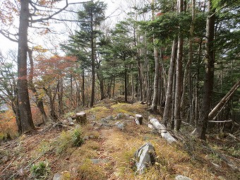 富田新道