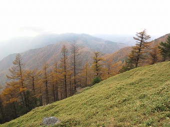 雲取山へ