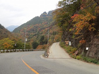 後山林道入口