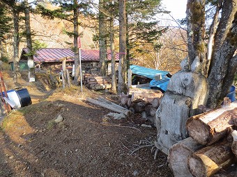 奥多摩小屋のトトロ