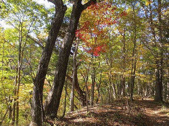 高柄山へ