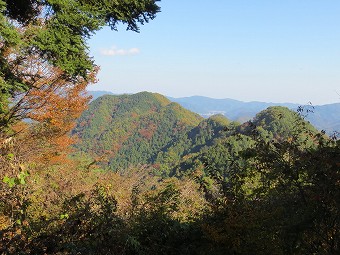 高柄山の尾根