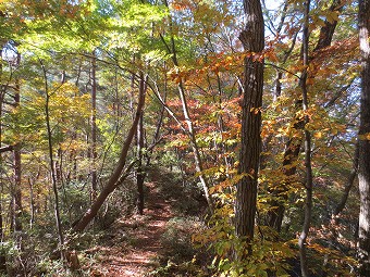 矢平山へ