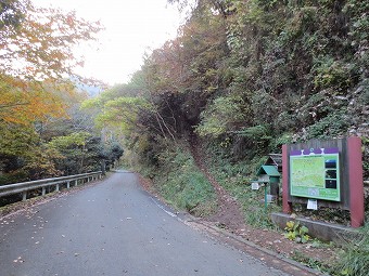 倉岳山　登山口