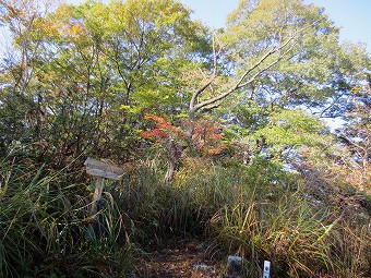 鶴島御前山