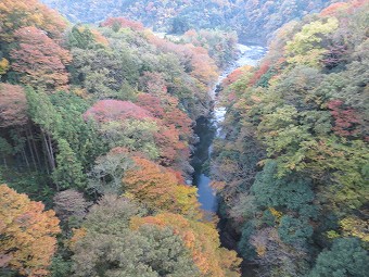 桂川の紅葉