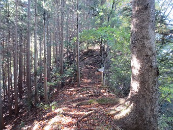 上野原駅・新矢ﾉ根峠　分岐