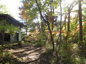 新矢ﾉ根峠