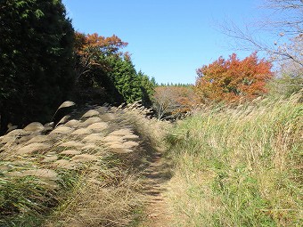 鷹巣山へ