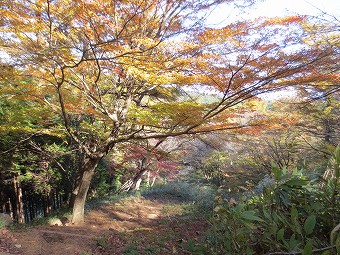 浅間山へ