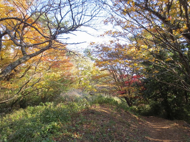 湯坂路