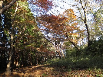 湯坂山？