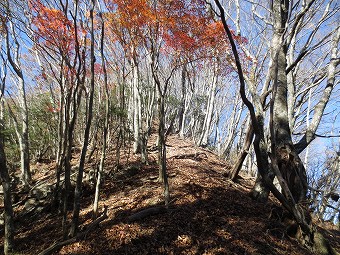 北峰から急下り