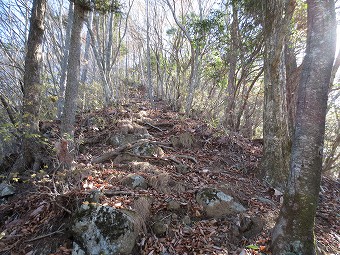 北峰へ急登