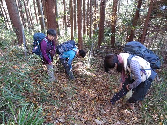 トゲ取りタイム