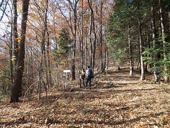 金山峠