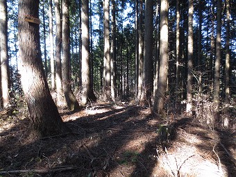 内蔵ノ助山