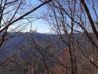 笹尾根と富士山