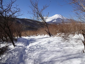 富士山