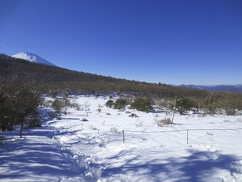 篭坂峠分岐