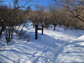 畑尾山　山頂