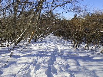 篭坂峠へ