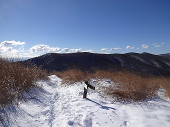 三国山稜へ