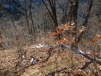 九鬼山へ急下り