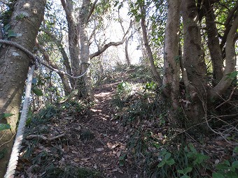 西尾根ルート